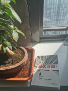 好书推荐，文剑先生《潜